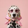 grace_and_milly